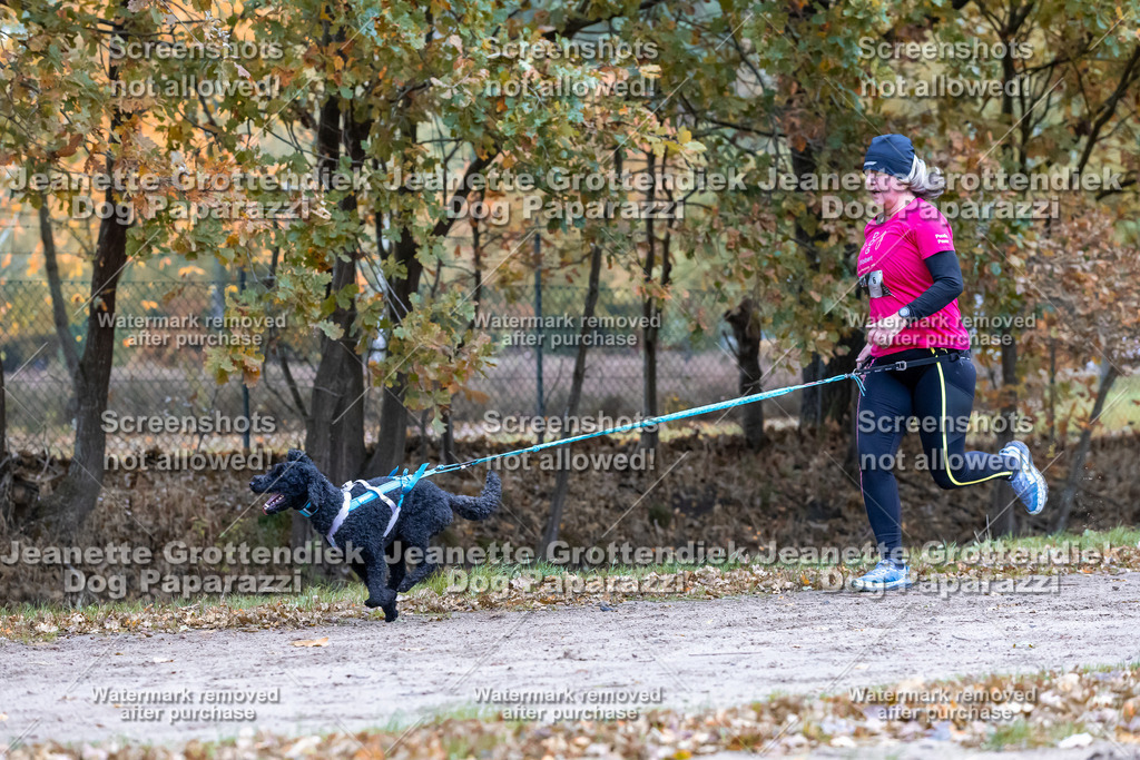 Dog Paparazzi - SD CaniX Championship 2025-341 | Dog Paparazzi Jeanette Grottendiek Fotografie & Videografie - Realisiert mit Pictrs.com