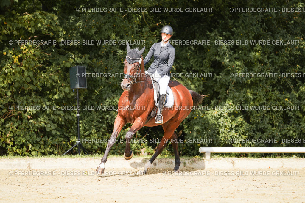 DSC02365 | Pferdegrafie