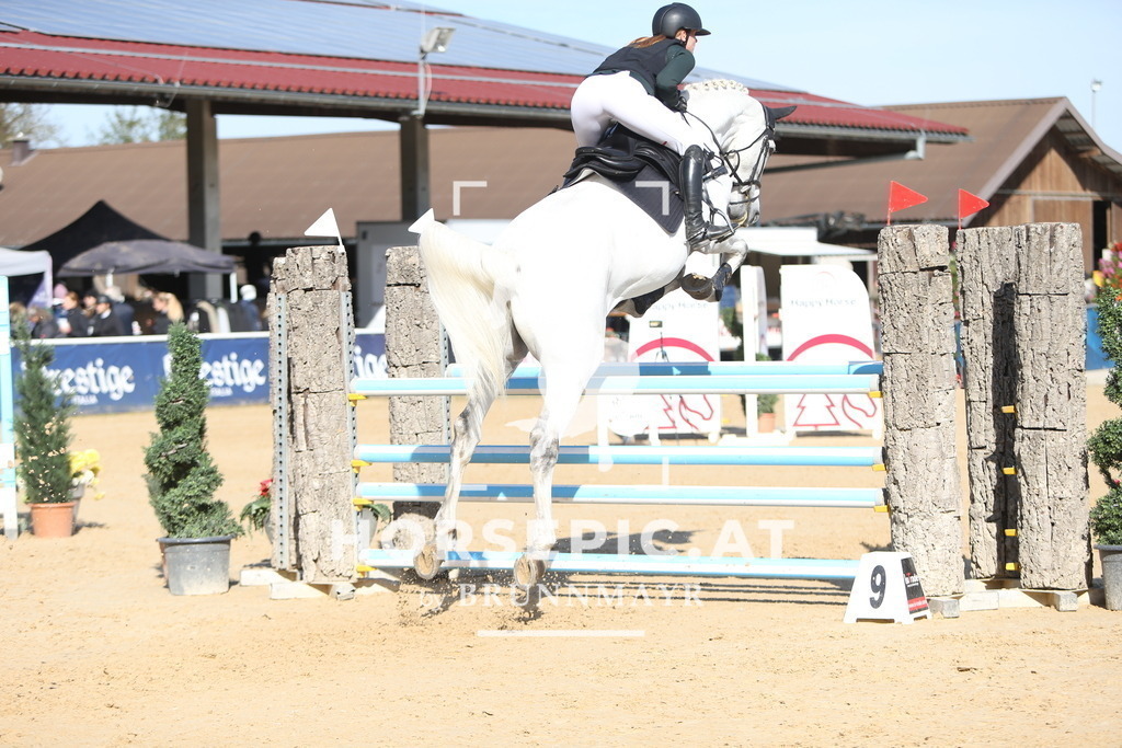 DL2Q4297 | Willkommen bei Brunnmayr - Design & Fotografie – Ihrem Spezialisten für Reitturniere und Pferdeveranstaltungen in Oberösterreich, Salzburg und Bayern! Seit über 17 Jahren sind wir leidenschaftlich dabei.