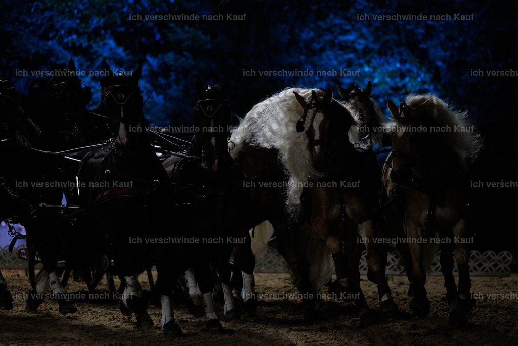 FHClassics-298 | working equitationturnier fotograf videograf stoibphotography marixx film working equitation deutschland reitsport turnierfotografie eventfotografie equestrian events