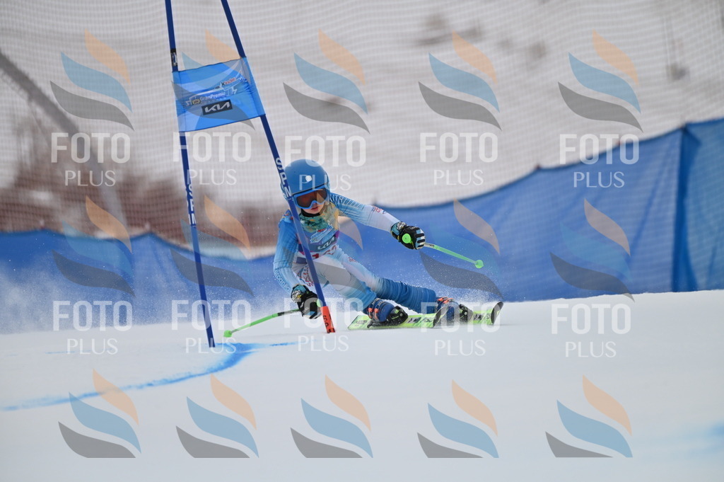 BGV_0251 | holidayphoto