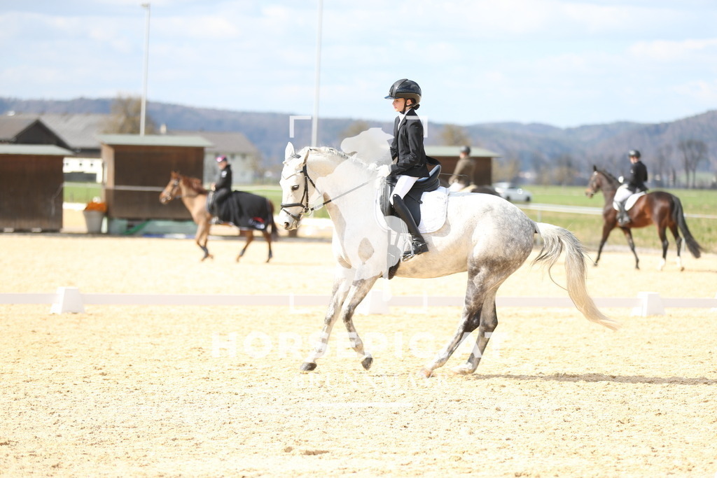 AS8V1682 | Willkommen bei Brunnmayr - Design & Fotografie – Ihrem Spezialisten für Reitturniere und Pferdeveranstaltungen in Oberösterreich, Salzburg und Bayern! Seit über 17 Jahren sind wir leidenschaftlich dabei.