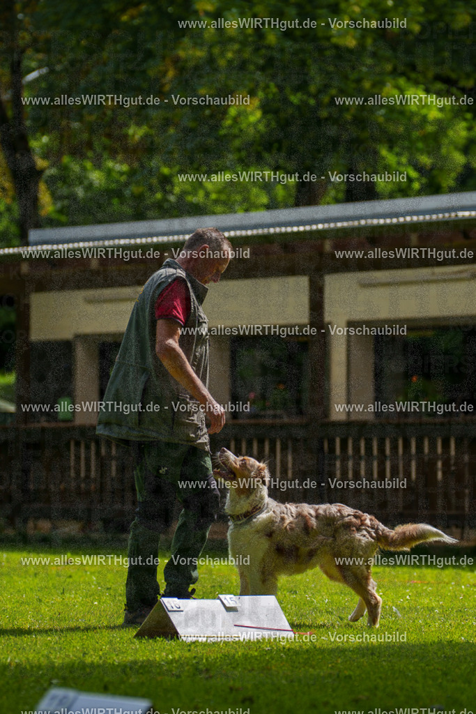 @allesWIRTHgut_Tierfotografie - www.allesWIRTHgut.de - 100121-7R507957 | Professionelle Tierfotografie in Mönchengladbach von Daniel Wirth (allesWIRTHgut). Liebevolle & natürliche Bilder von Hunden & Katzen für unvergessliche Erinnerungen.