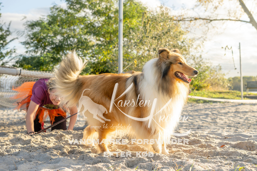 1648_ZZ99724 | kk-dogfotos