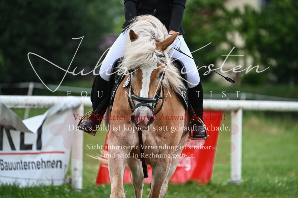 DSC_8420 | Pferde- und Turnierfotografie in Westsachsen. Pferdeportraits, Auftragszeichnungen und intuitive Kunst.