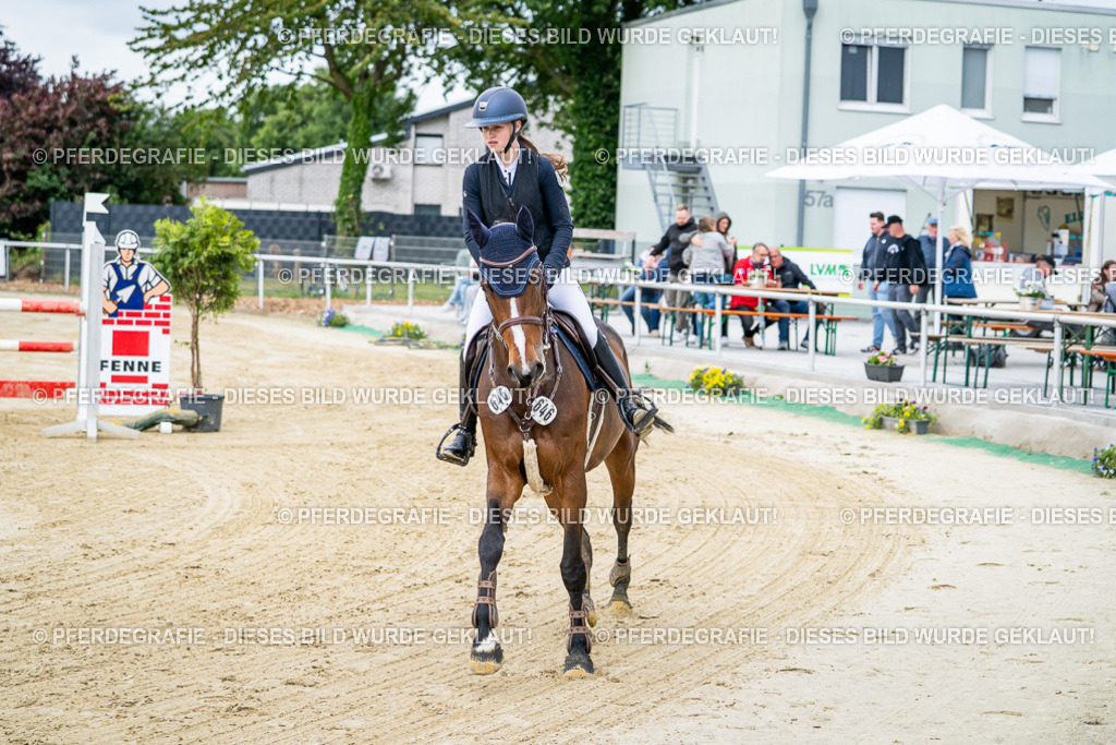 DSC04136 | Pferdegrafie