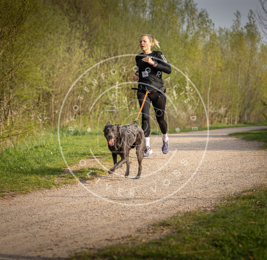 Pfotenfotografie_DV3A4599 | Hundefotografie, Tierfotograf, Pfotenfotografie, Fotoshooting Hund, Hunde Portrait, Hundesport, Hundeportraits, Heideshooting, Hunde, Sportfotograf, Hundefotograf, Turnierhundsport, THS,  - Realisiert mit Pictrs.com