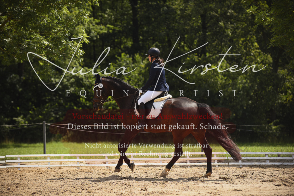 DSC_1007 | Pferde- und Turnierfotografie in Westsachsen. Pferdeportraits, Auftragszeichnungen und intuitive Kunst.