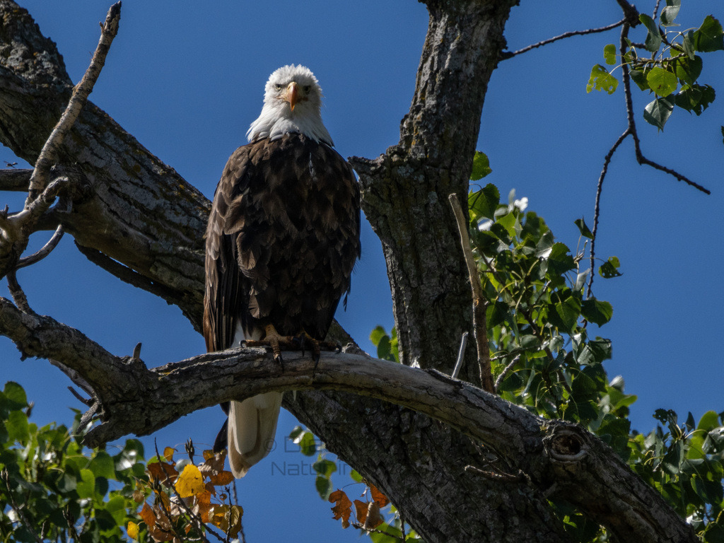 P1637576-LR | Natur im Moment - Realisiert mit Pictrs.com