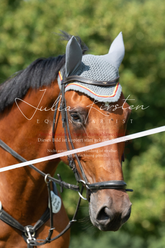 DSC_0852 | Pferde- und Turnierfotografie in Westsachsen. Pferdeportraits, Auftragszeichnungen und intuitive Kunst.