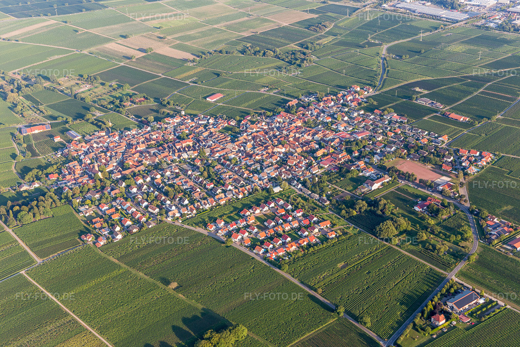 Luftbild: Dorf - Ansicht in der Pfalz im Ortsteil Nußdorf in Landau im Bundesland Rheinland-Pfalz in Deutschland. Foto: IMG_103186.jpg vom 03.09.2017 durch Werner Riehm/FLY-FOTO.de
