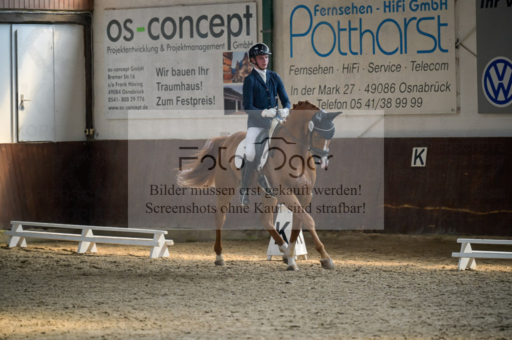 Reitturnier Voxtrup | Entdecke hochwertige Reitturnierfotos von Foto Oger. Professionell, emotional und authentisch – jetzt Lieblingsmomente im Shop bestellen.Deutschlandweite Turnierfotografie. - Realisiert mit Pictrs.com