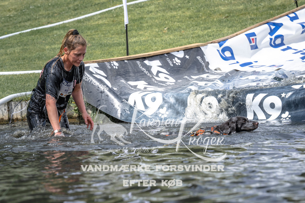 1155_ZZ94331 | kk-dogfotos