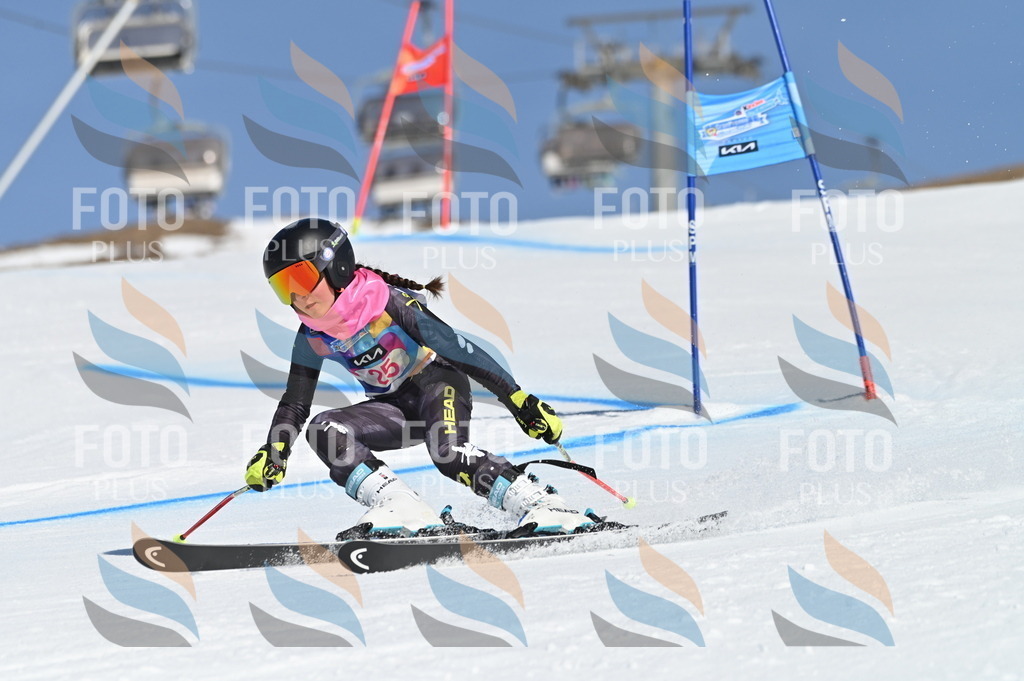 BGV_8056 | holidayphoto