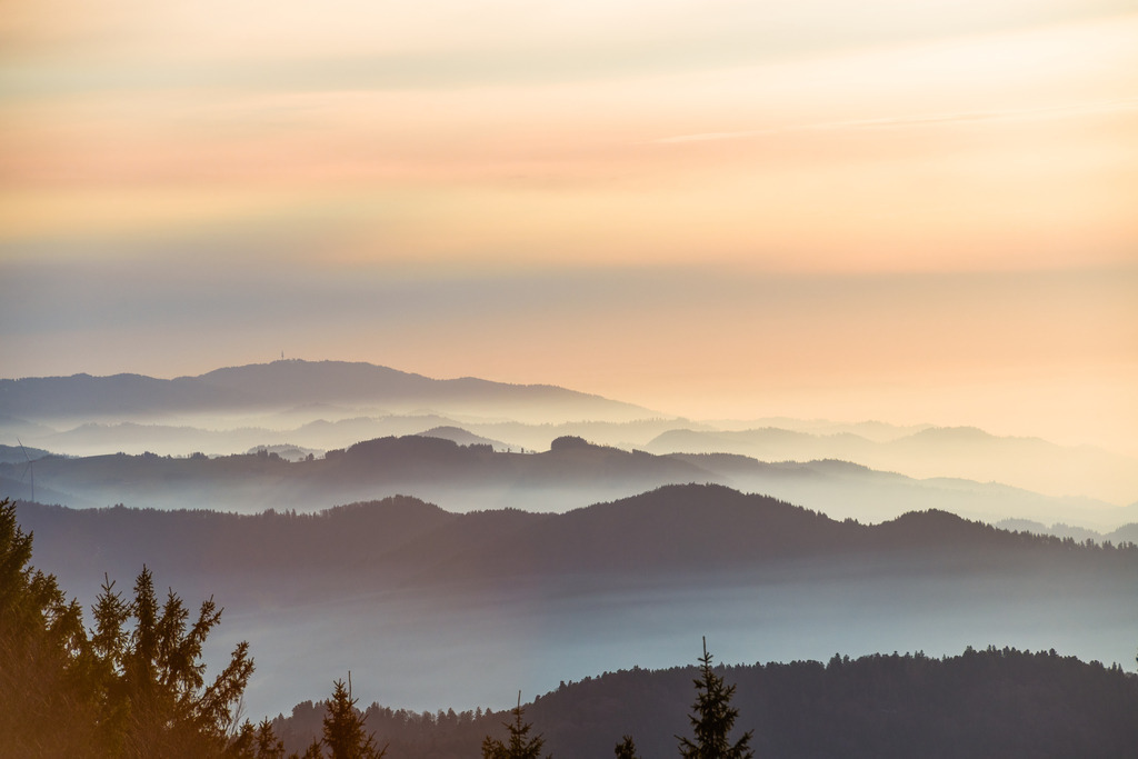 kandel_170126-9 | <div id="allefotografen-seal-verified-green"></div><script src="https://www.allefotografen.de/956728/seal-verified-green/seal.js" async="async"></script> - Realisiert mit Pictrs.com