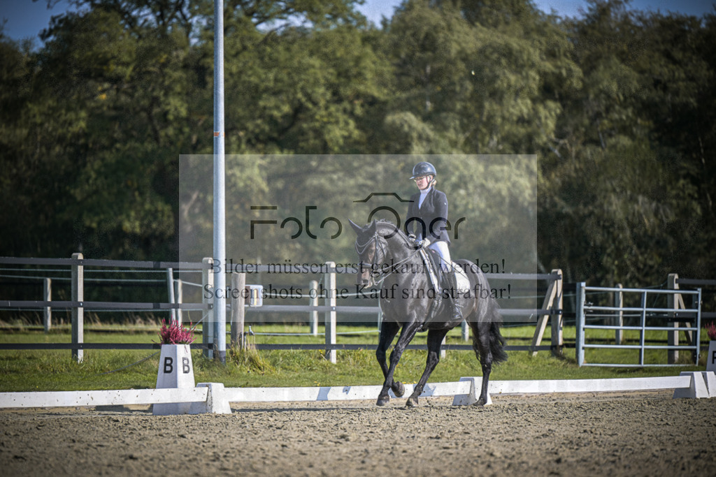 DOS_1660 | Entdecke hochwertige Reitturnierfotos von Foto Oger. Professionell, emotional und authentisch – jetzt Lieblingsmomente im Shop bestellen.Deutschlandweite Turnierfotografie. - Realisiert mit Pictrs.com