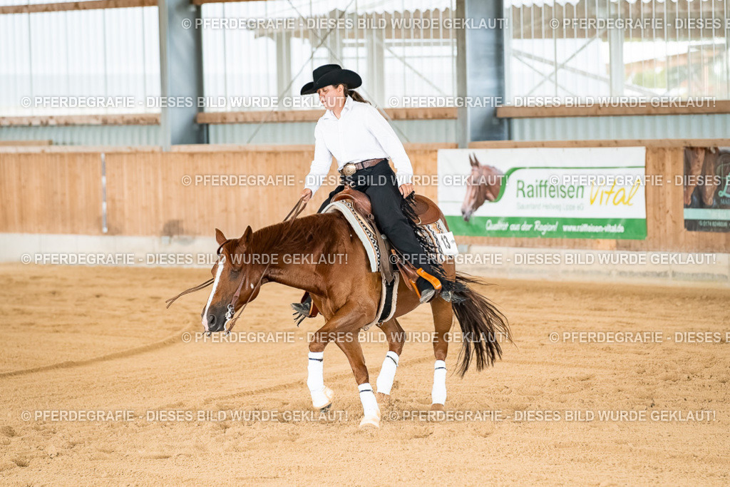 DSC02386 | Pferdegrafie