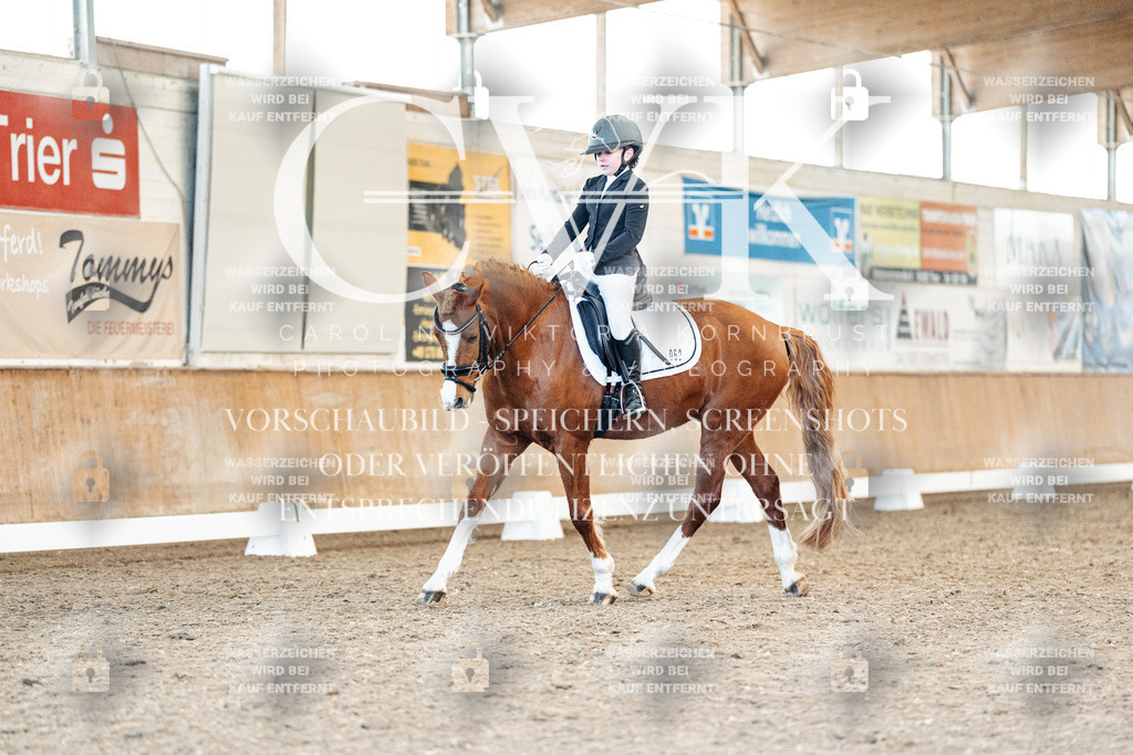CK908252 | Turnierfotografie Pferdefotografie Trier Rheinland-Pfalz Pferdesport Reitsport Tierfotografie Sportfotografie Pferdevideo Pferdevideografie Equestrianvideography equestrianphotography  - Realisiert mit Pictrs.com