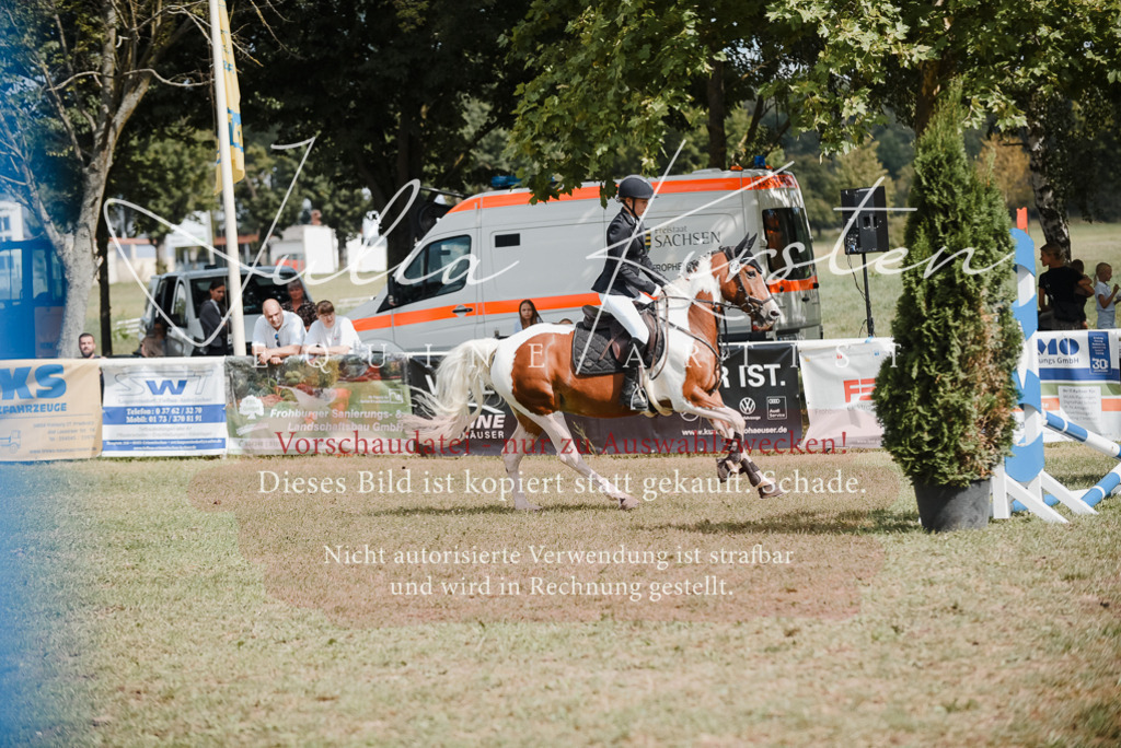 DSC_5455 | Pferde- und Turnierfotografie in Westsachsen. Pferdeportraits, Auftragszeichnungen und intuitive Kunst.