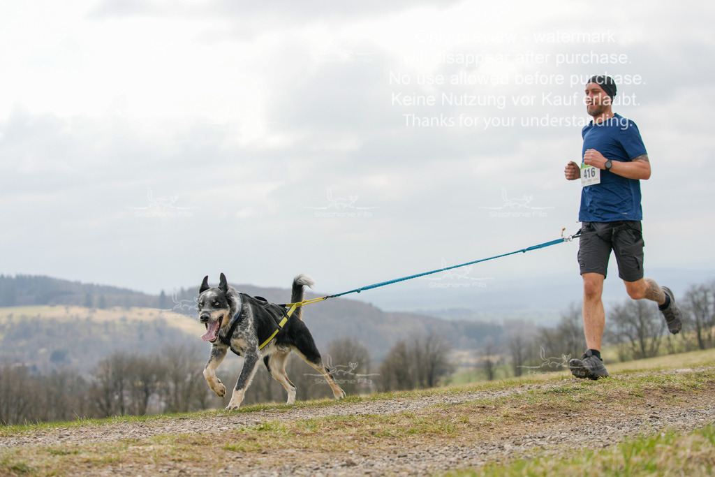 CaniXRunSA-95 | stephaniefillaphotographie - Realisiert mit Pictrs.com