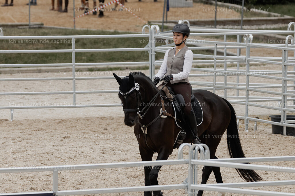 WE__Stoib_Rinder_PI2025_3202 | Pferd International München 2025