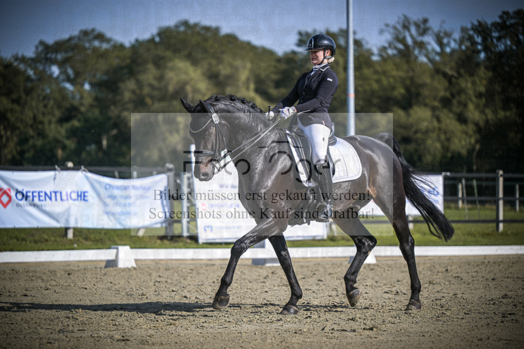 DOS_1263 | Entdecke hochwertige Reitturnierfotos von Foto Oger. Professionell, emotional und authentisch – jetzt Lieblingsmomente im Shop bestellen.Deutschlandweite Turnierfotografie. - Realisiert mit Pictrs.com