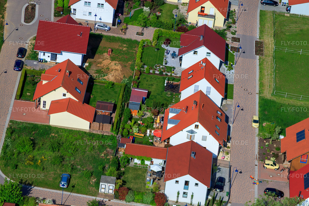 Luftbild: Im Erbsenfeld im Ortsteil Mörzheim in Landau im Bundesland Rheinland-Pfalz in Deutschland. Foto: IMG_27135.jpg vom 23.05.2010 durch Werner Riehm/FLY-FOTO.de