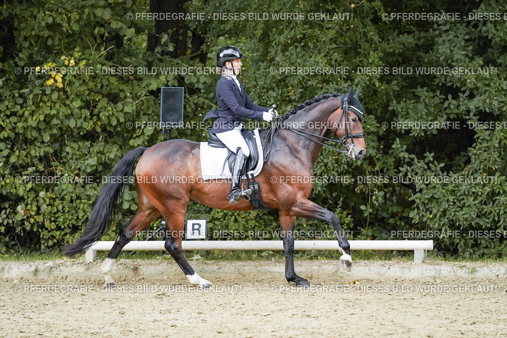 DSC06536 | Pferdegrafie