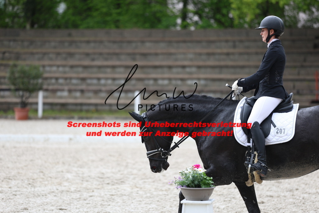 A40A9045 | lmwpictures - Realisiert mit Pictrs.com