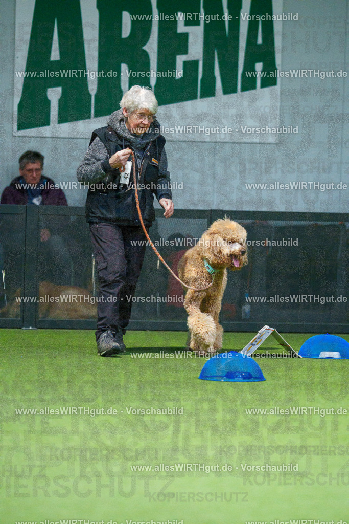 7R500214 | Professionelle Tierfotografie in Mönchengladbach von Daniel Wirth (allesWIRTHgut). Liebevolle & natürliche Bilder von Hunden & Katzen für unvergessliche Erinnerungen.