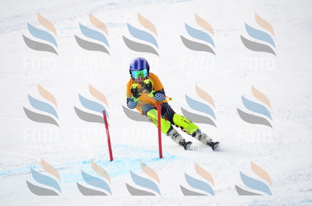 C8241 | holidayphoto