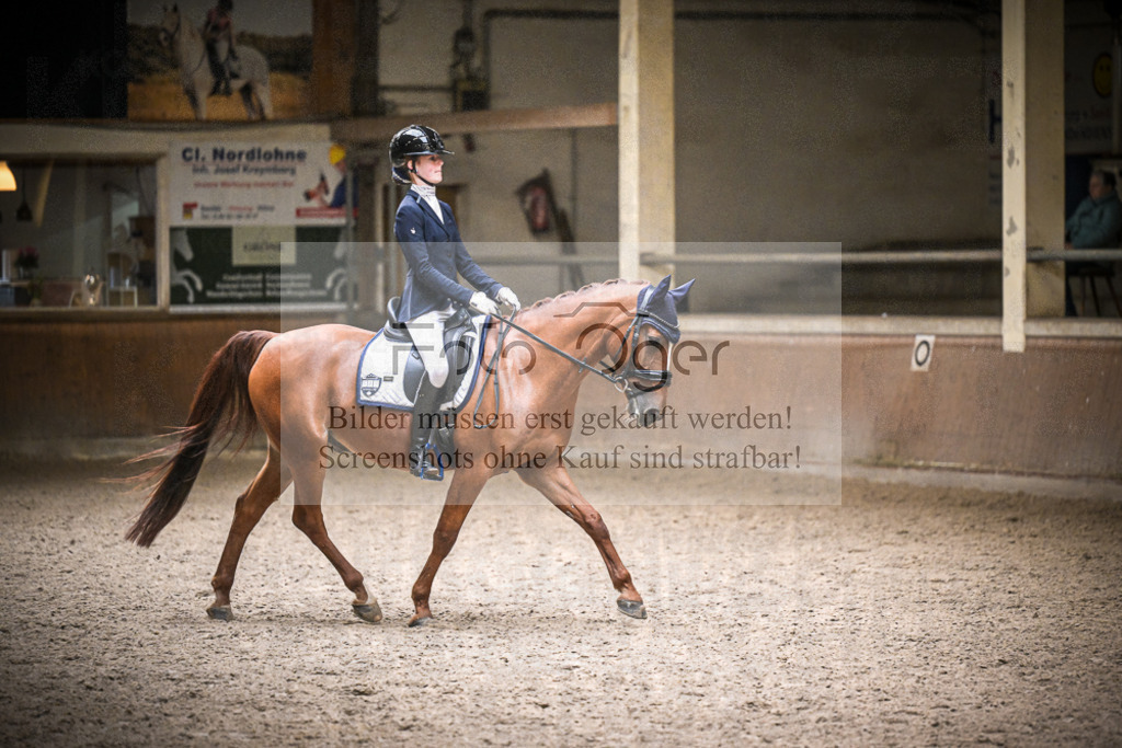 DOS_1664 | Entdecke hochwertige Reitturnierfotos von Foto Oger. Professionell, emotional und authentisch – jetzt Lieblingsmomente im Shop bestellen.Deutschlandweite Turnierfotografie. - Realisiert mit Pictrs.com