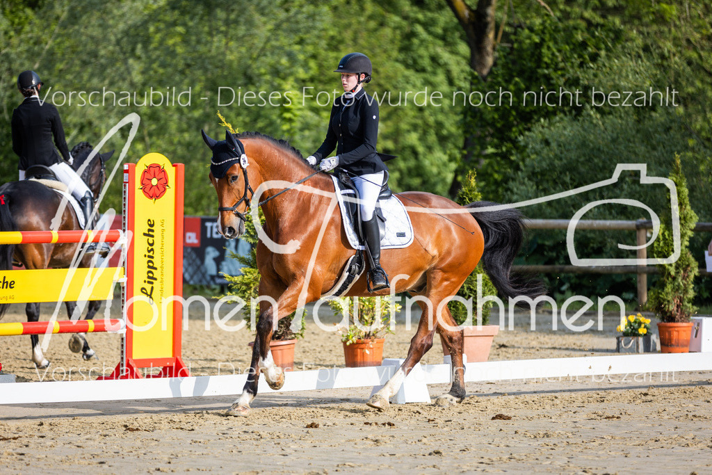 Donop24-A-Dre-043 | MomenTaufnahmen Pferdesportfotos