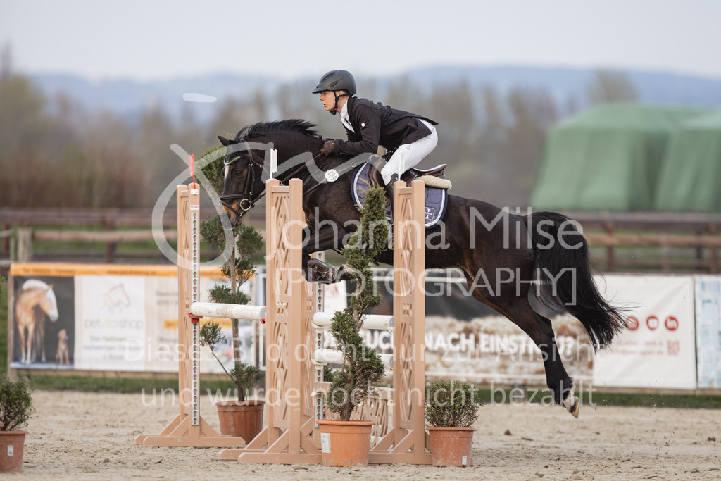 230406_Frühlingsfest_A-Stil1-128 | Deine schönsten Turniermomente als professionelle Fotos! Entdecke hochwertige Pferdesport-Fotografie im Online-Shop. Jetzt Fotos finden & bestellen!