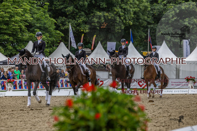 25.7.25 D1 59 (602 von 1569) | mandyhollmannphotographie