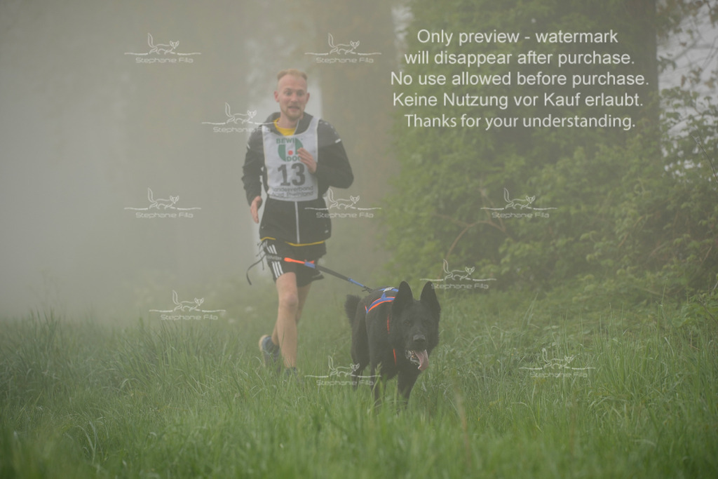 SA_GL2-74 | stephaniefillaphotographie - Realisiert mit Pictrs.com