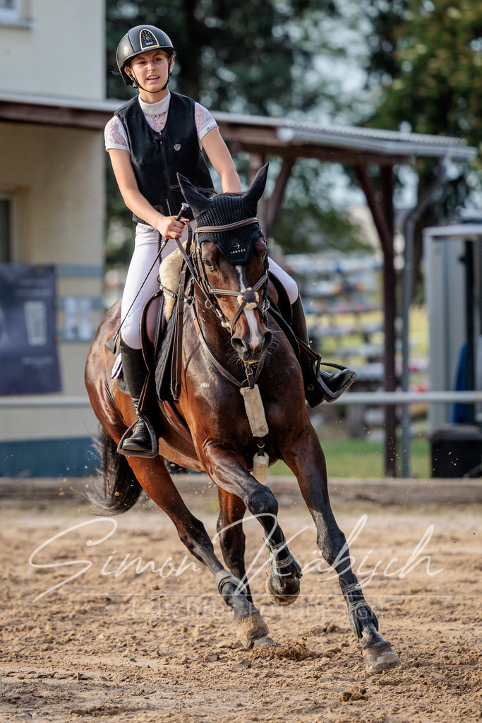20260529-_3LI1689 | Tierfotografie Pferde, Hunde, Katzen, Haustiere.
Turnierfotografie Reitturniere, Reiten, Springreiten, Dressur in Hanau, dem Main-Kinzig-Kreis und dem Rhein-Main- Gebiet um Frankfurt