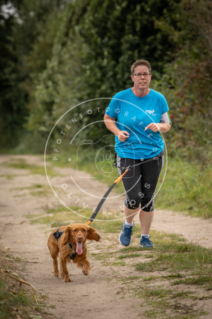 Pfotenfotografie_DV3A7899 | Hundefotografie, Tierfotograf, Pfotenfotografie, Fotoshooting Hund, Hunde Portrait, Hundesport, Hundeportraits, Heideshooting, Hunde, Sportfotograf, Hundefotograf, Turnierhundsport, THS,  - Realisiert mit Pictrs.com
