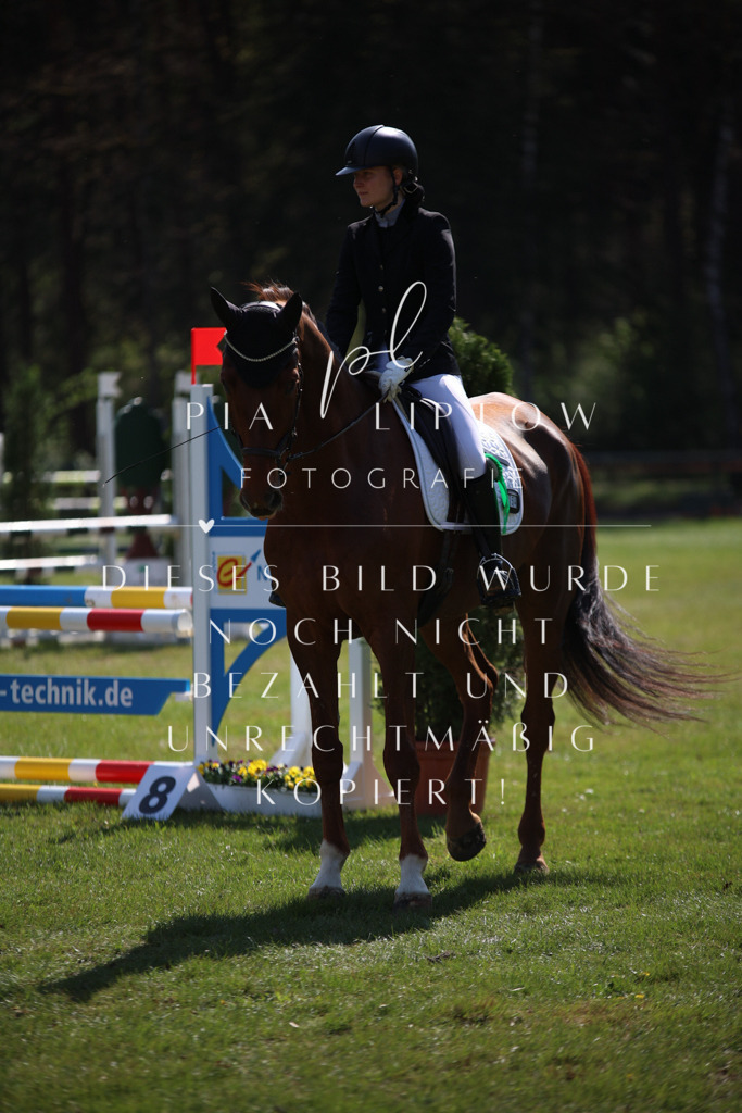 IMGT5557 | pl-fotografie