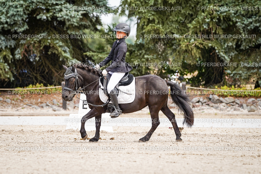 DSC02814 | Pferdegrafie