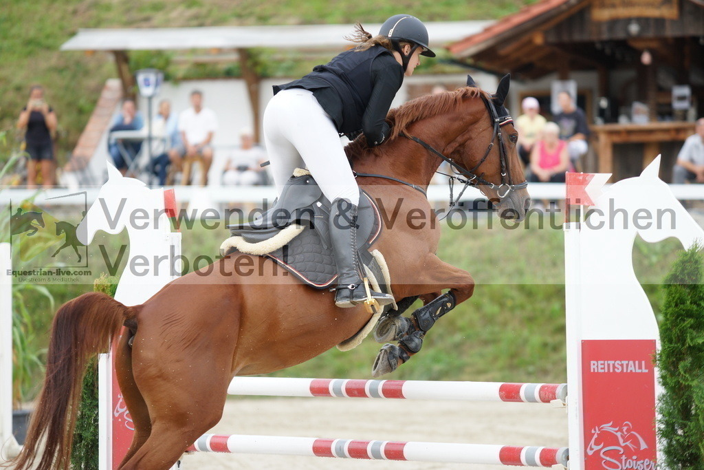 DSC03613 | equestrian-live-com