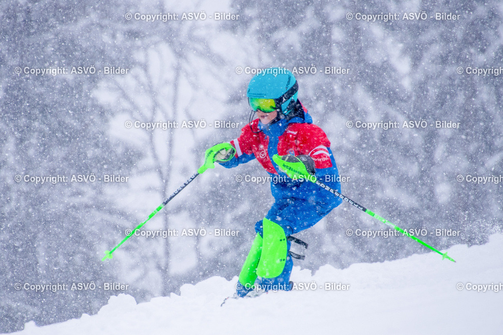 ASVÖ_ Skiclub Saalbach Hinterglemm_ 17.02.2026-64 | 17.02.2026, Saalbach, AUT, ASVÖ und Ski Austria 2026 im Bild TeilnehmerSkiclub Saalbach HinterglemmFotos ©: ASVÖ, Harald B.Bearbeitung ©: Harald Dostal / fodo.media - Realisiert mit Pictrs.com