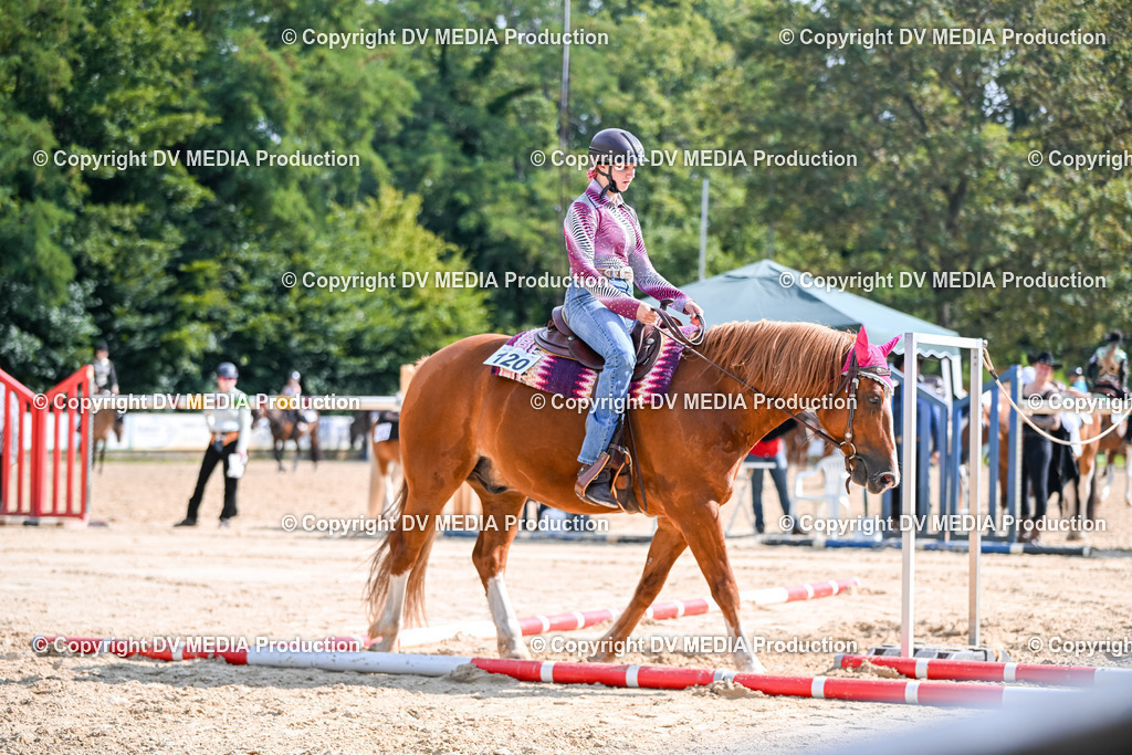 ZS2_3570 | dv-media-shop - Realisiert mit Pictrs.com