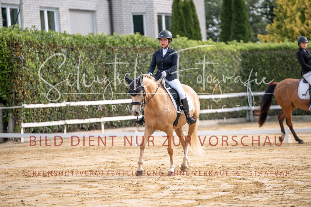 Schugtsche-Aluta25-40.DressurprfA_-79 | Schugtsche Fotografie - Realisiert mit Pictrs.com