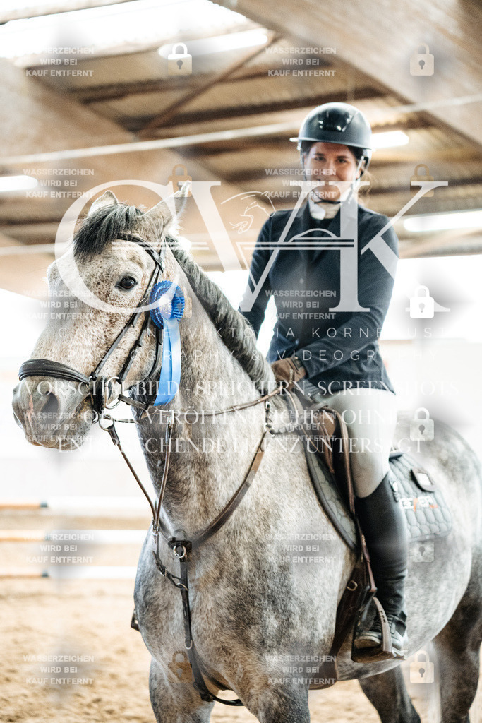 CK702915 | Turnierfotografie Pferdefotografie Trier Rheinland-Pfalz Pferdesport Reitsport Tierfotografie Sportfotografie Pferdevideo Pferdevideografie Equestrianvideography equestrianphotography  - Realisiert mit Pictrs.com