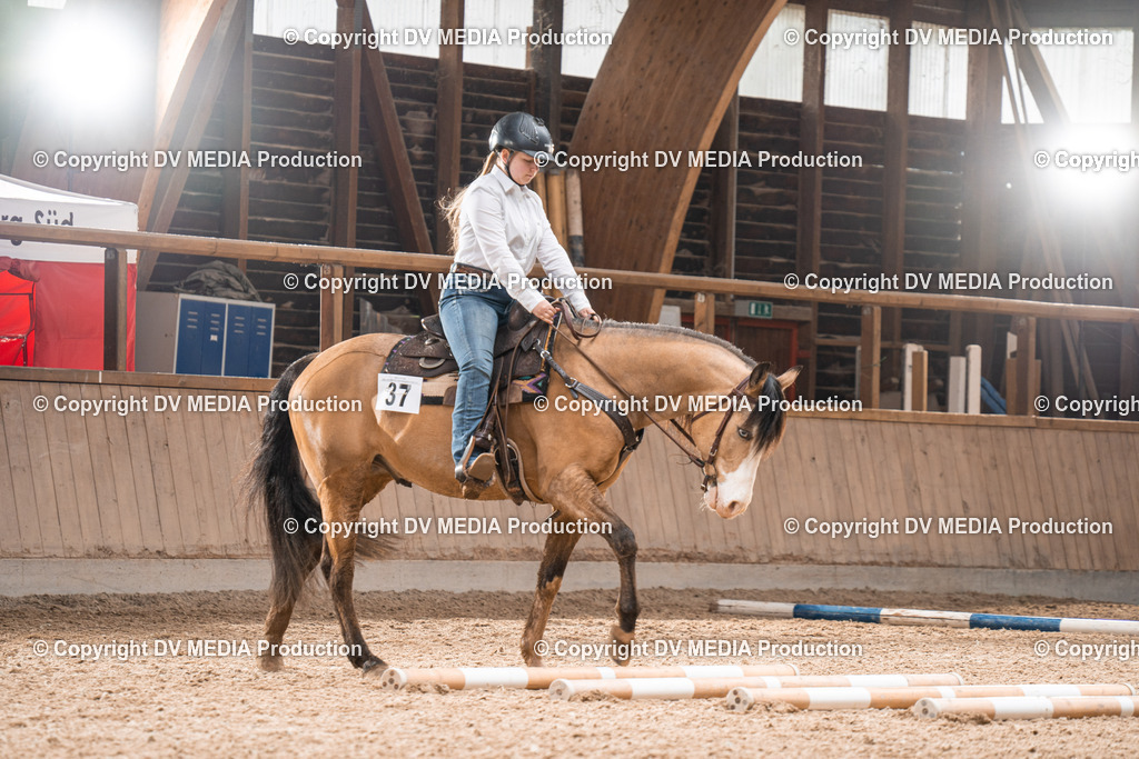 Heidelberg Tag 1-365 | dv-media-shop - Realisiert mit Pictrs.com