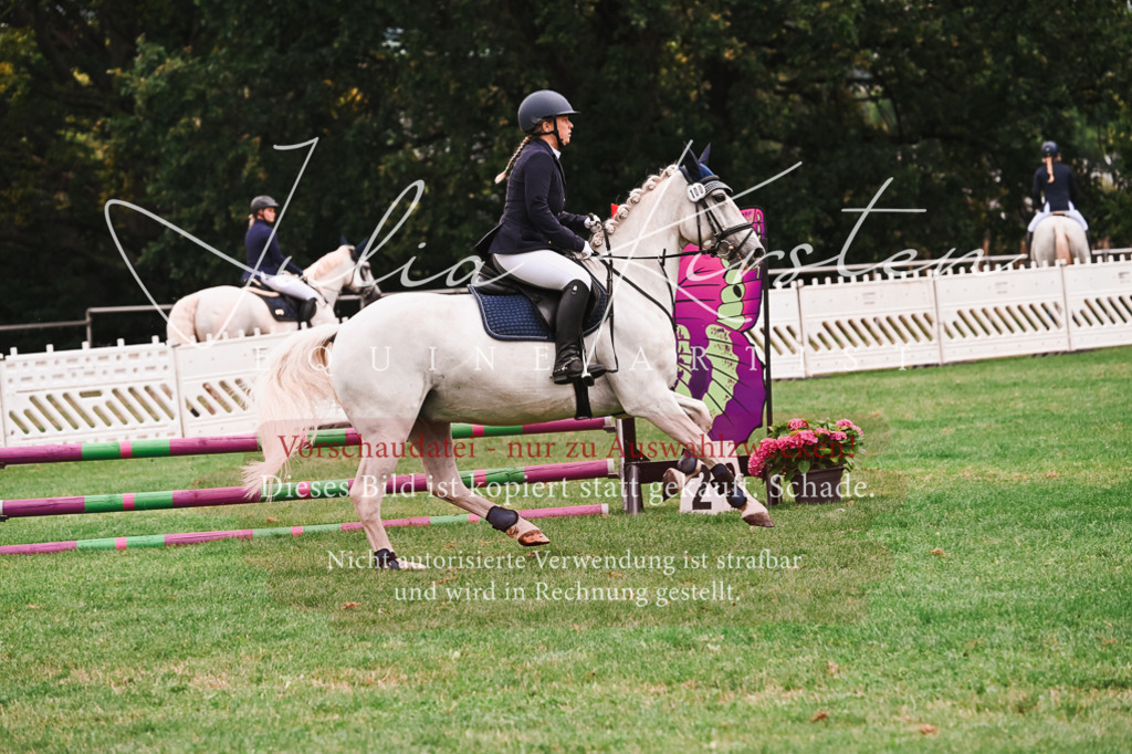 DSC_5946 | Pferde- und Turnierfotografie in Westsachsen. Pferdeportraits, Auftragszeichnungen und intuitive Kunst.