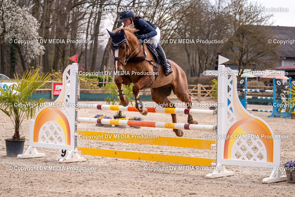 Kranichstein Tag 2-1674 | dv-media-shop - Realisiert mit Pictrs.com