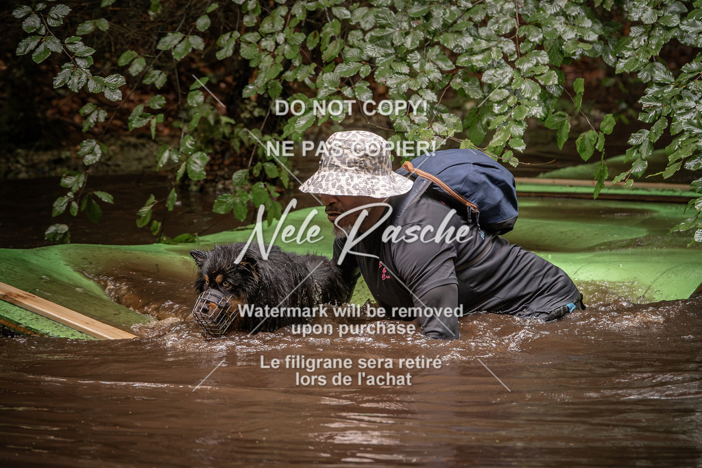 nelerasche_Wingst_Sa1330-1400_99 | nelerasche