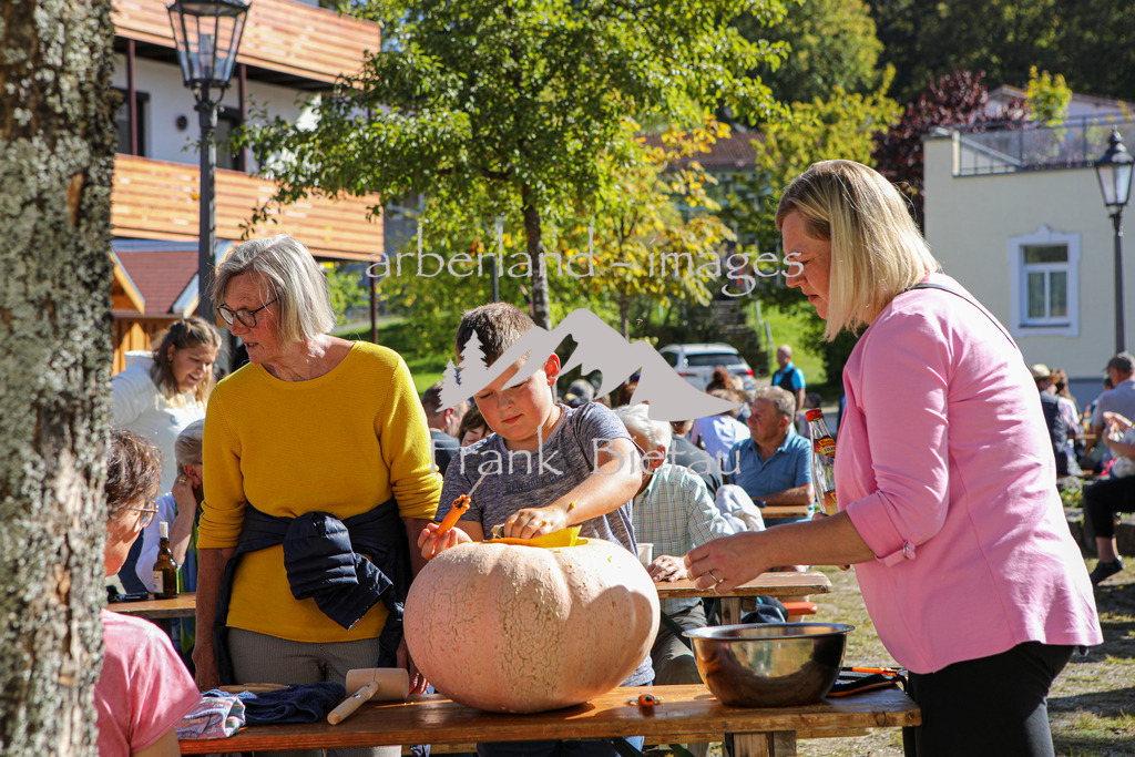 OE7A8483 | Kürbis schnitzen